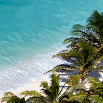 Nach dem Sommer ist vor dem Winter!